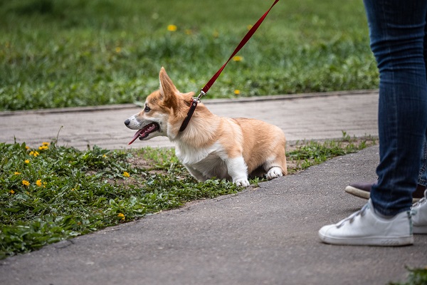 Outings with your best friends