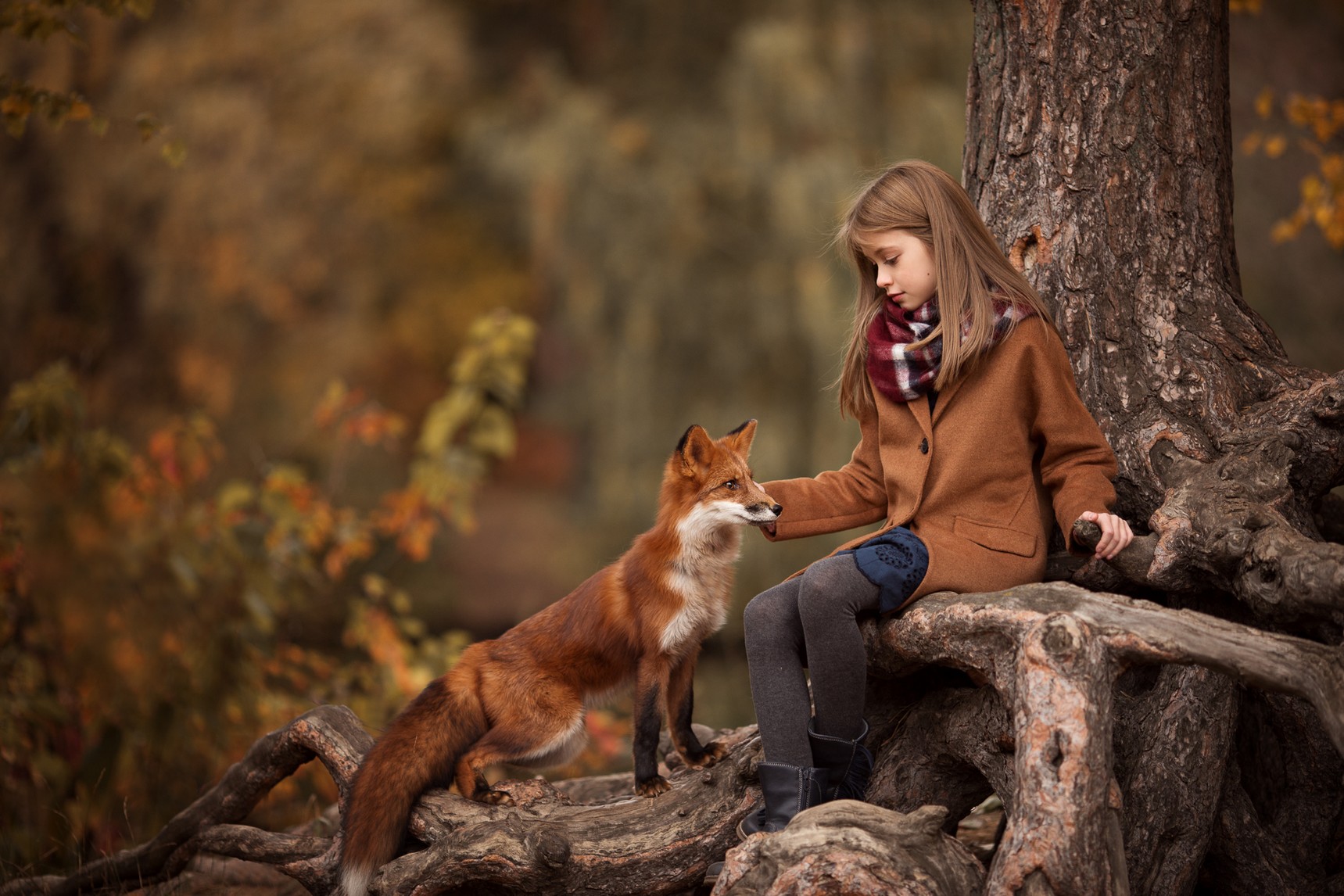 Capture moments with your animals: professional photo shoots and video shoots